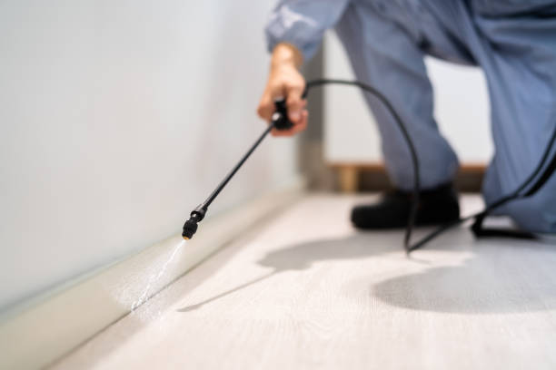 Licensed Cockroach Control service in Lapeer, MI - Nex Pest Control