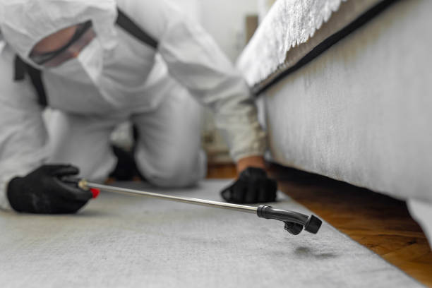 Professional Cockroach Control technician working in Lapeer, MI