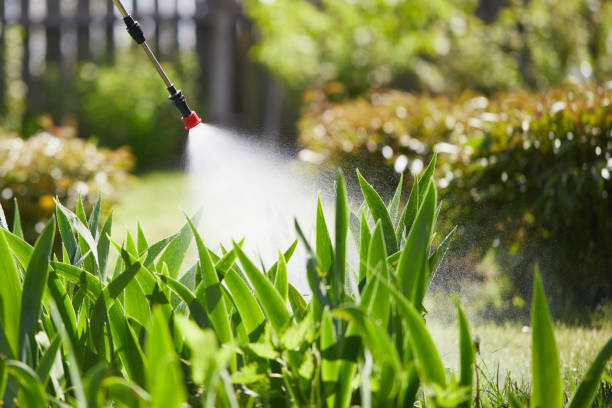 24/7 Emergency Cockroach Control experts in Lapeer, MI