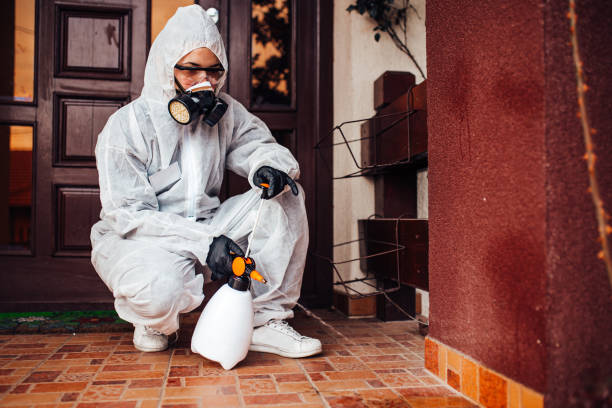 Reliable Cockroach Control contractor in Lapeer, MI by Nex Pest Control